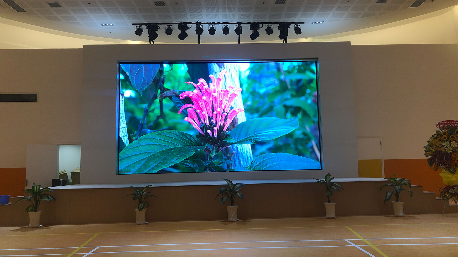 Lựa Chọn Màn Hình LED Dùng Cho Hội Trường Nhỏ Hoàn Hảo Nhất 2 man hinh led hoi truong