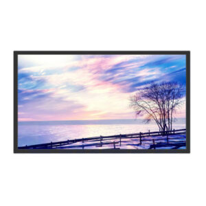 Màn Hình Quảng Cáo Treo Tường 49 Inch Arirang AR - DS4911